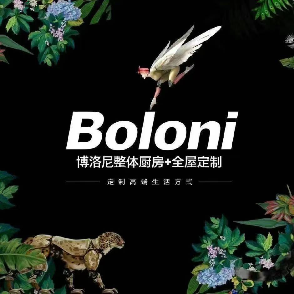博洛尼定制-呼和浩特