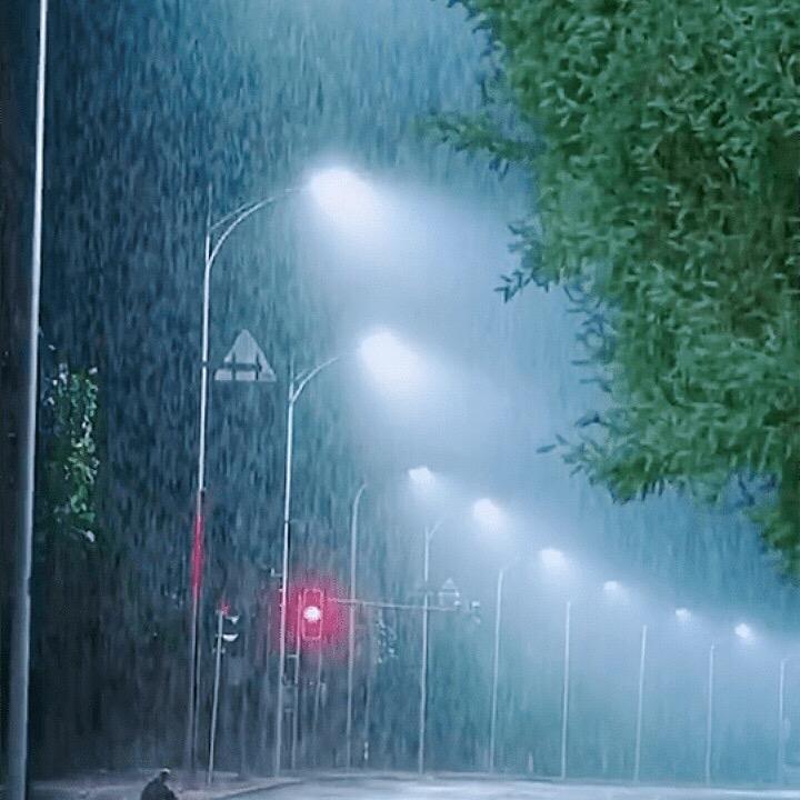 铁血军魂wj