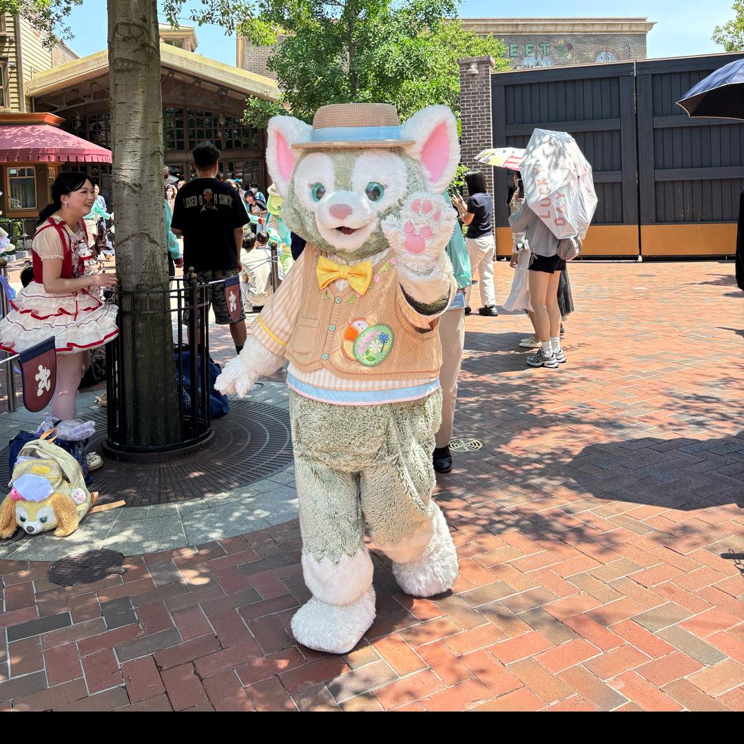 迪士尼管家小陈