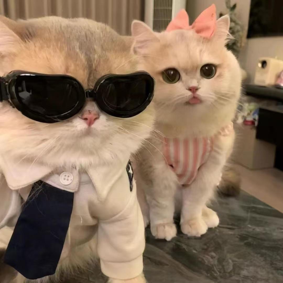 安仔