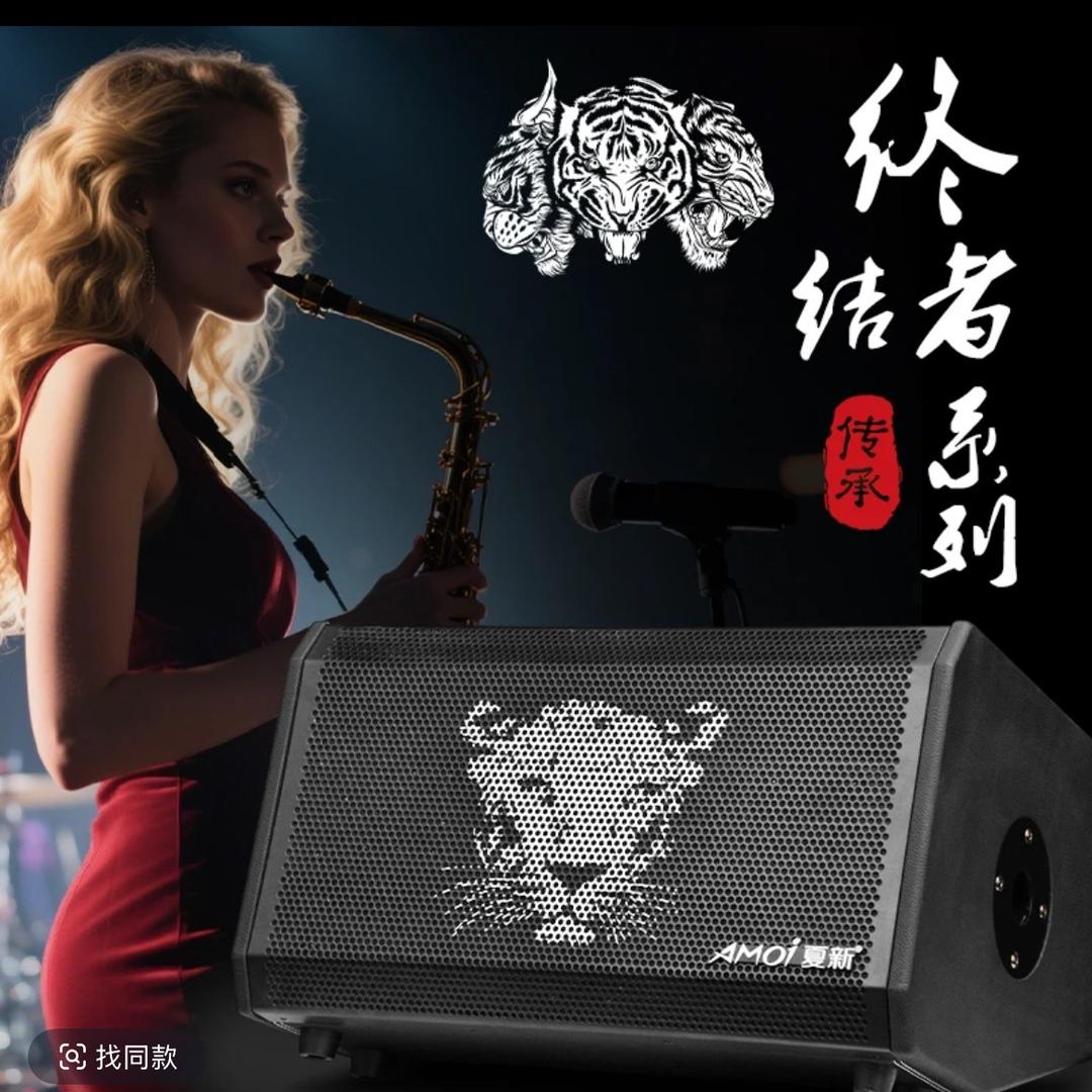 文悦音响专营店