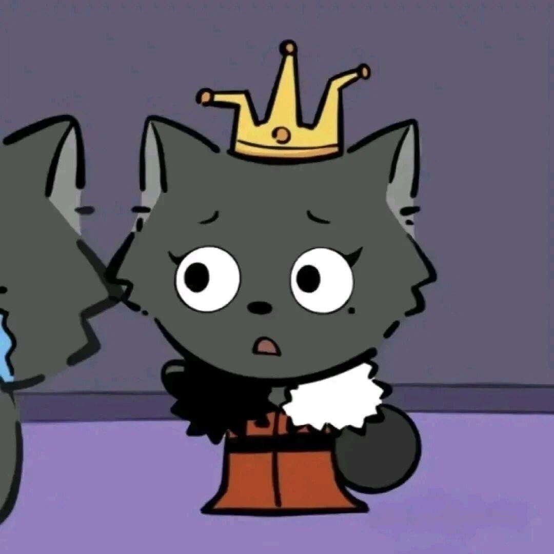 是秃子终会发光