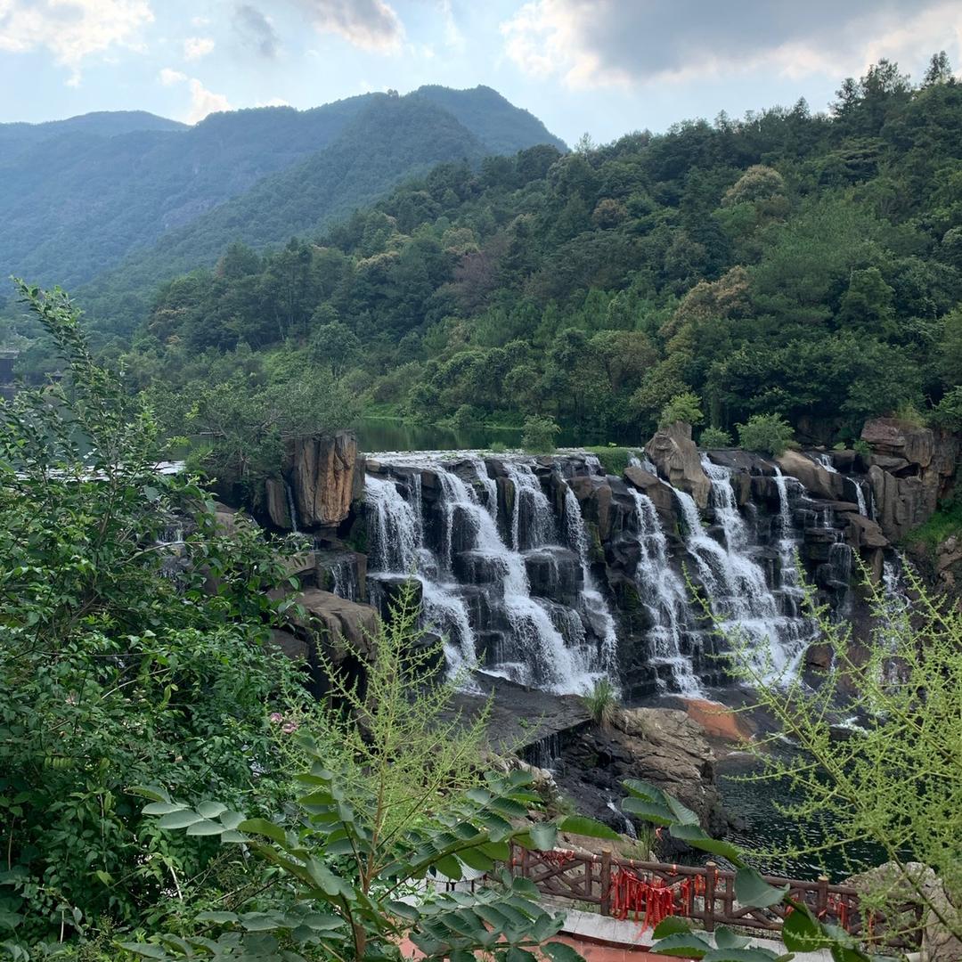 忘🦋忧草
