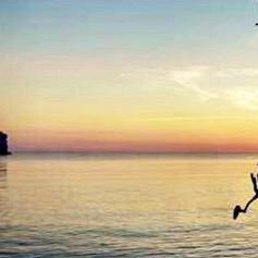 中企动力～大丽丽