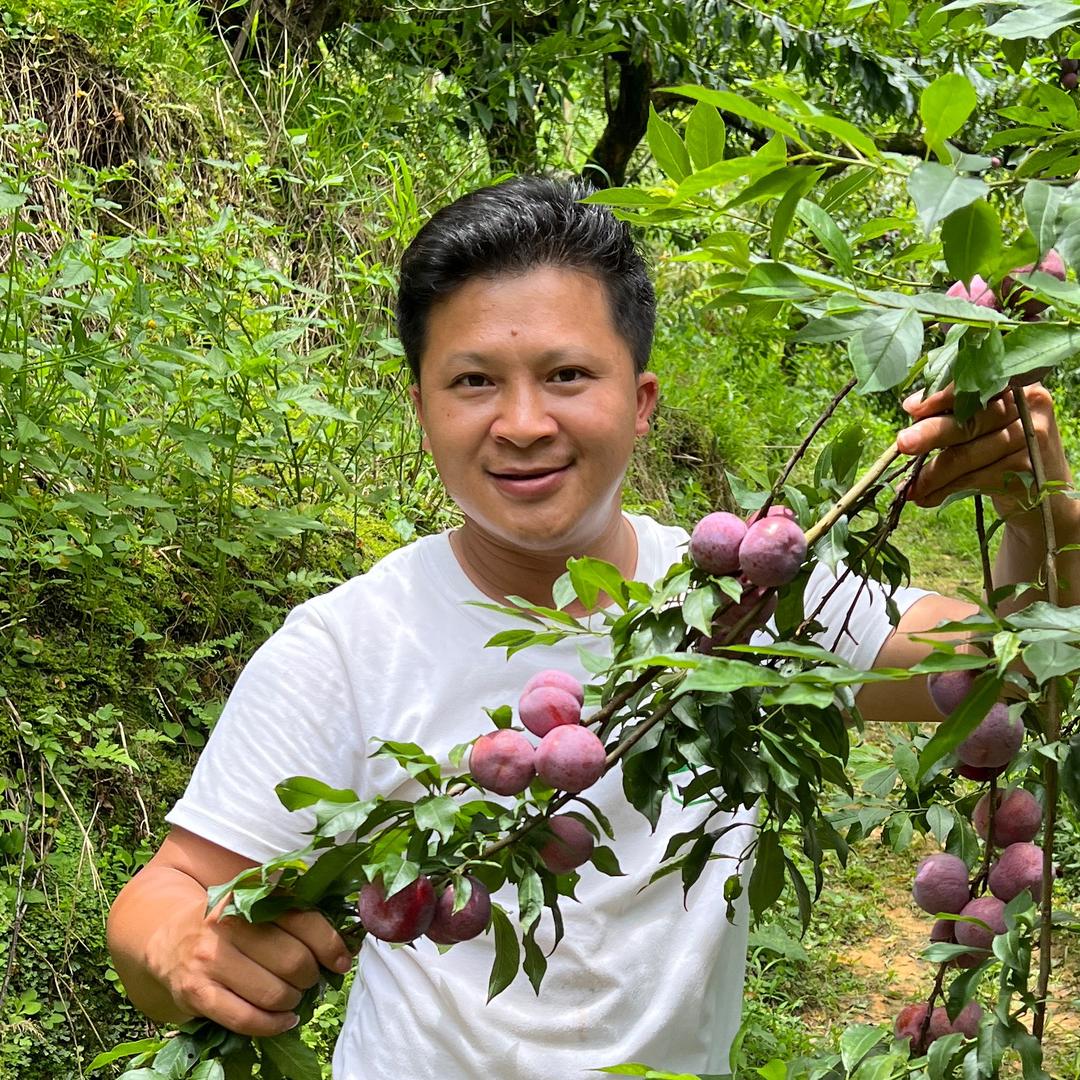 金泽大叔【农村特产】