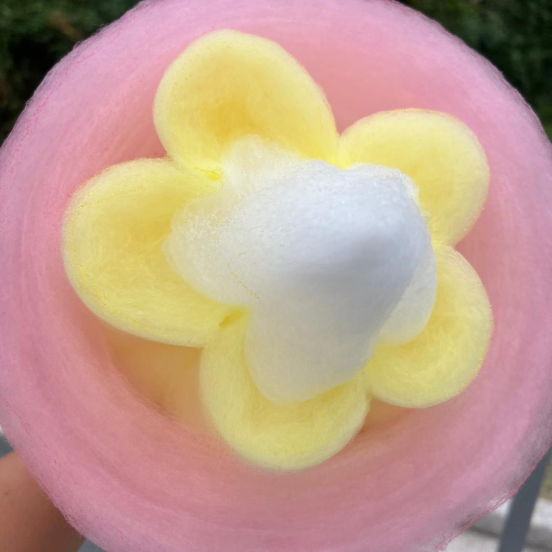 又菜又爱玩