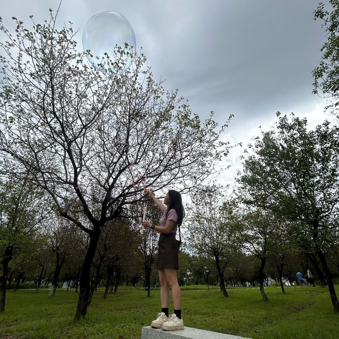 🌸✧浅絮 ⁺⁎