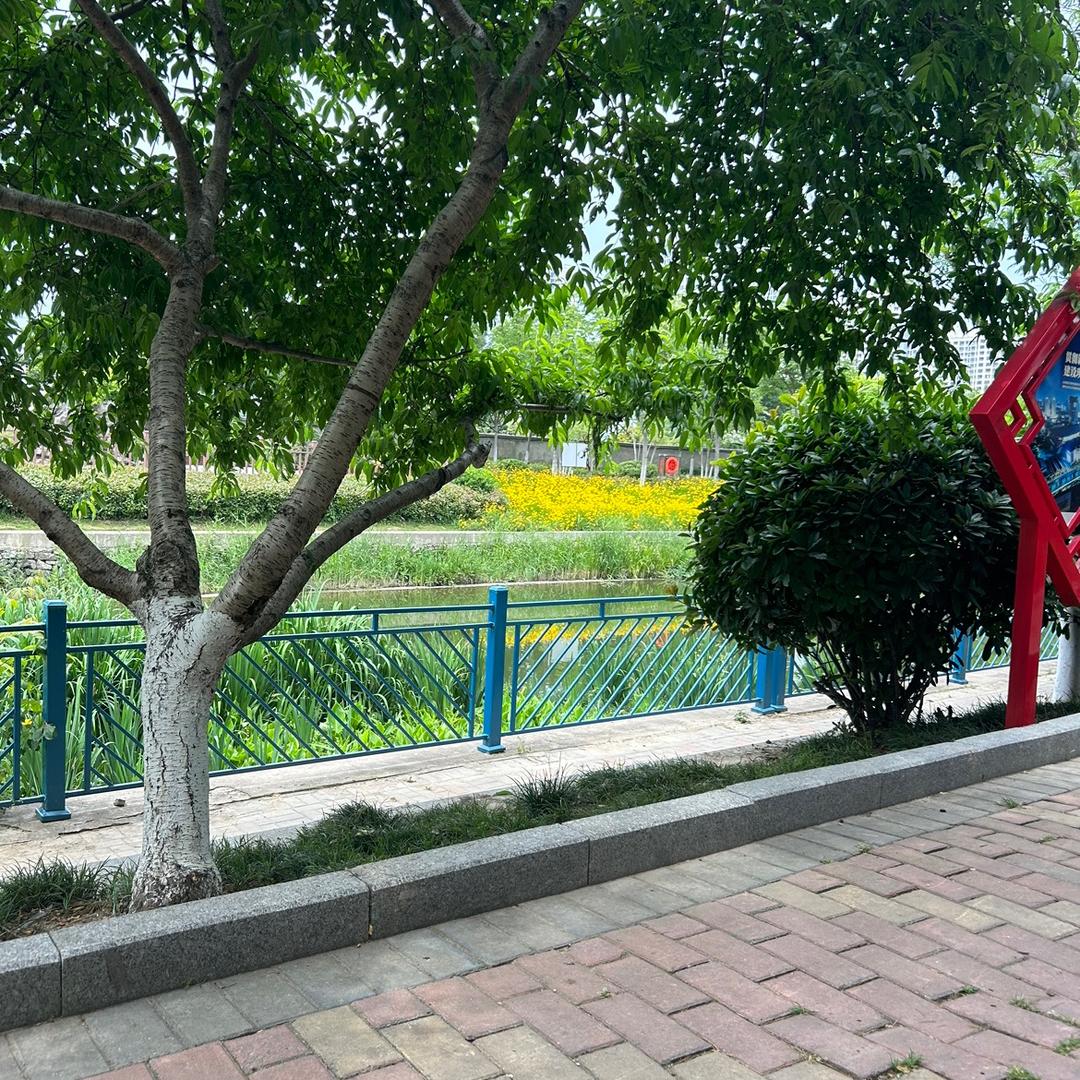 王三磊