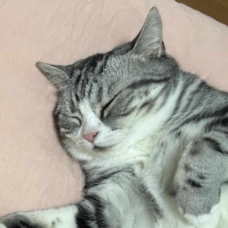 大梦想家也行！