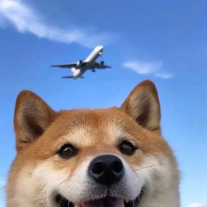 大蛋糕