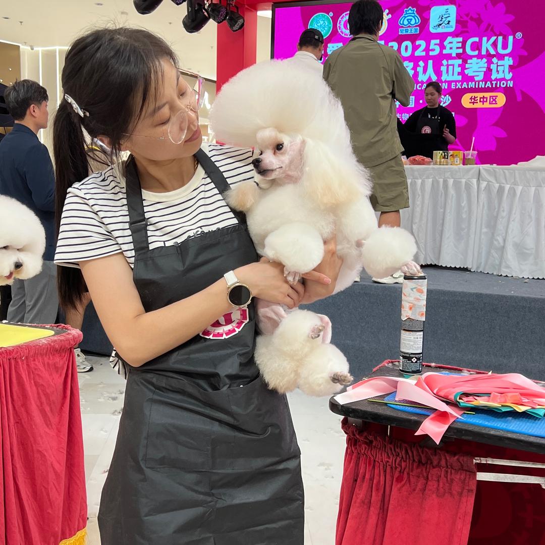 🔆董小姐宠美