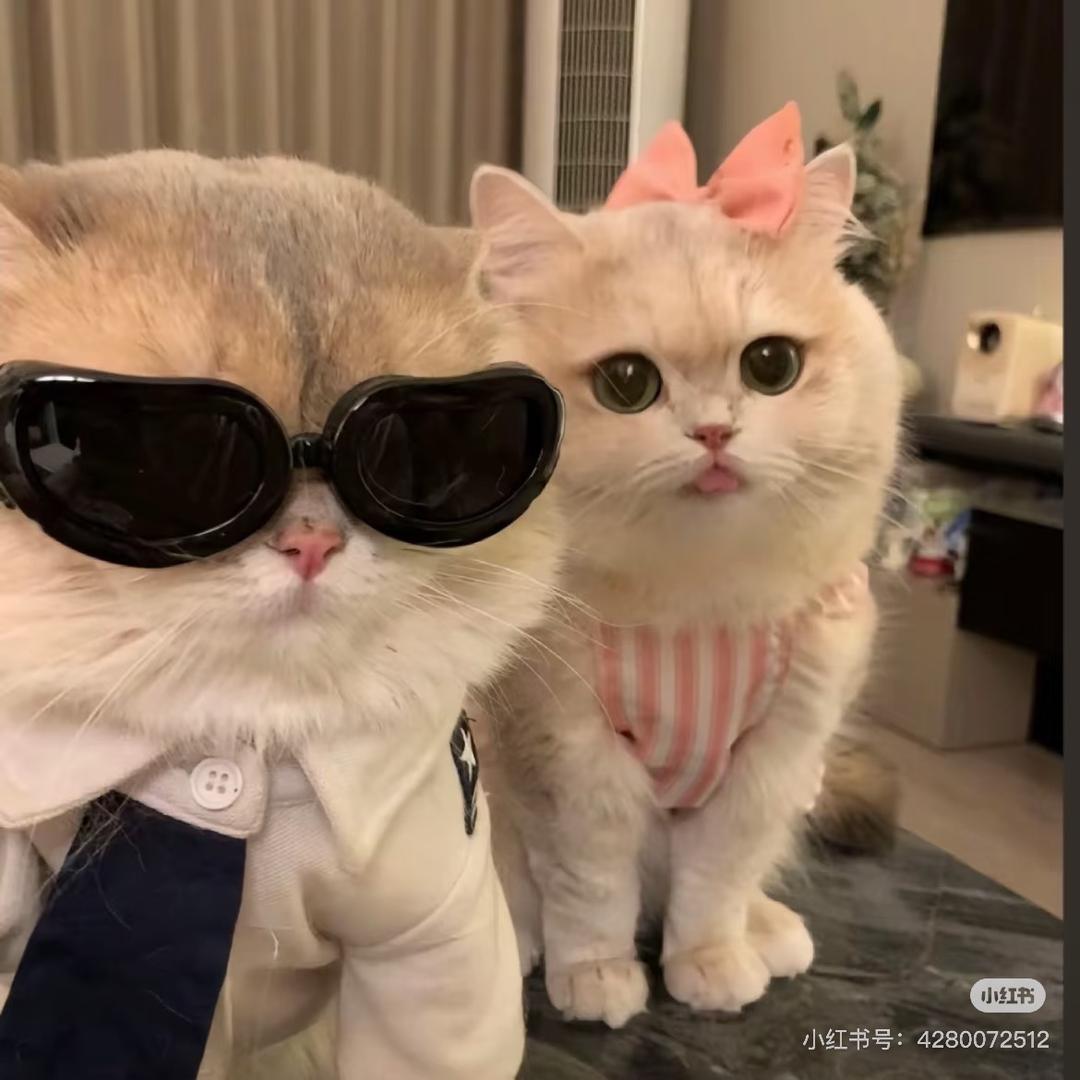 TFL穿搭分享