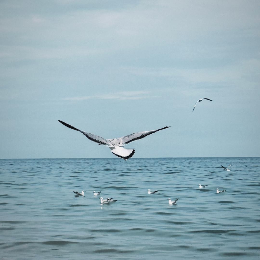 女兆宝乾女兆精选