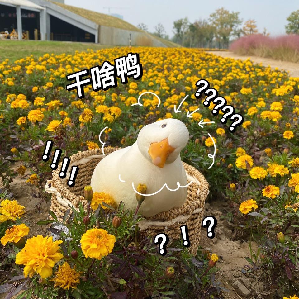啵啵吖～🌈