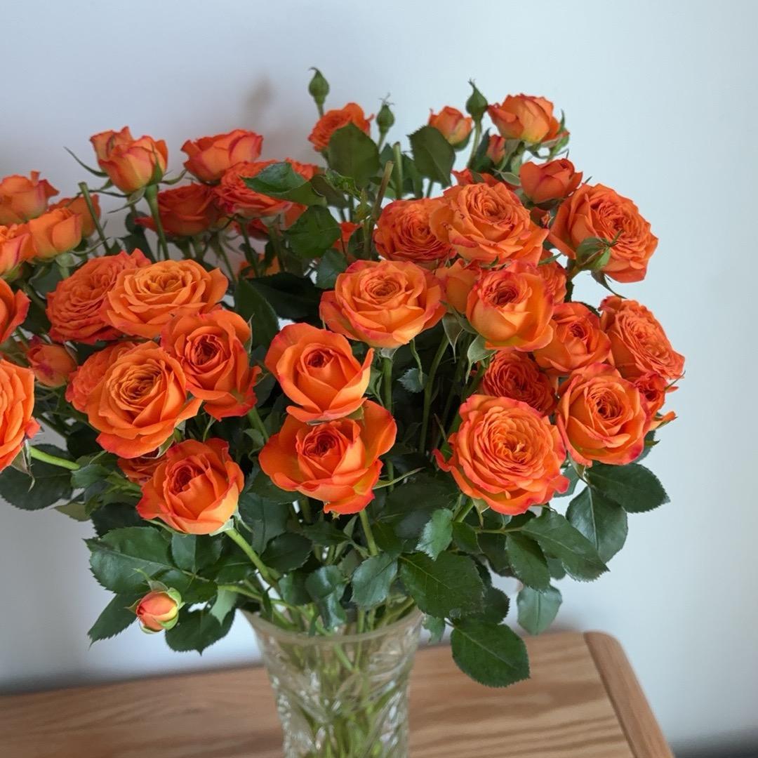 张丽，知足常乐