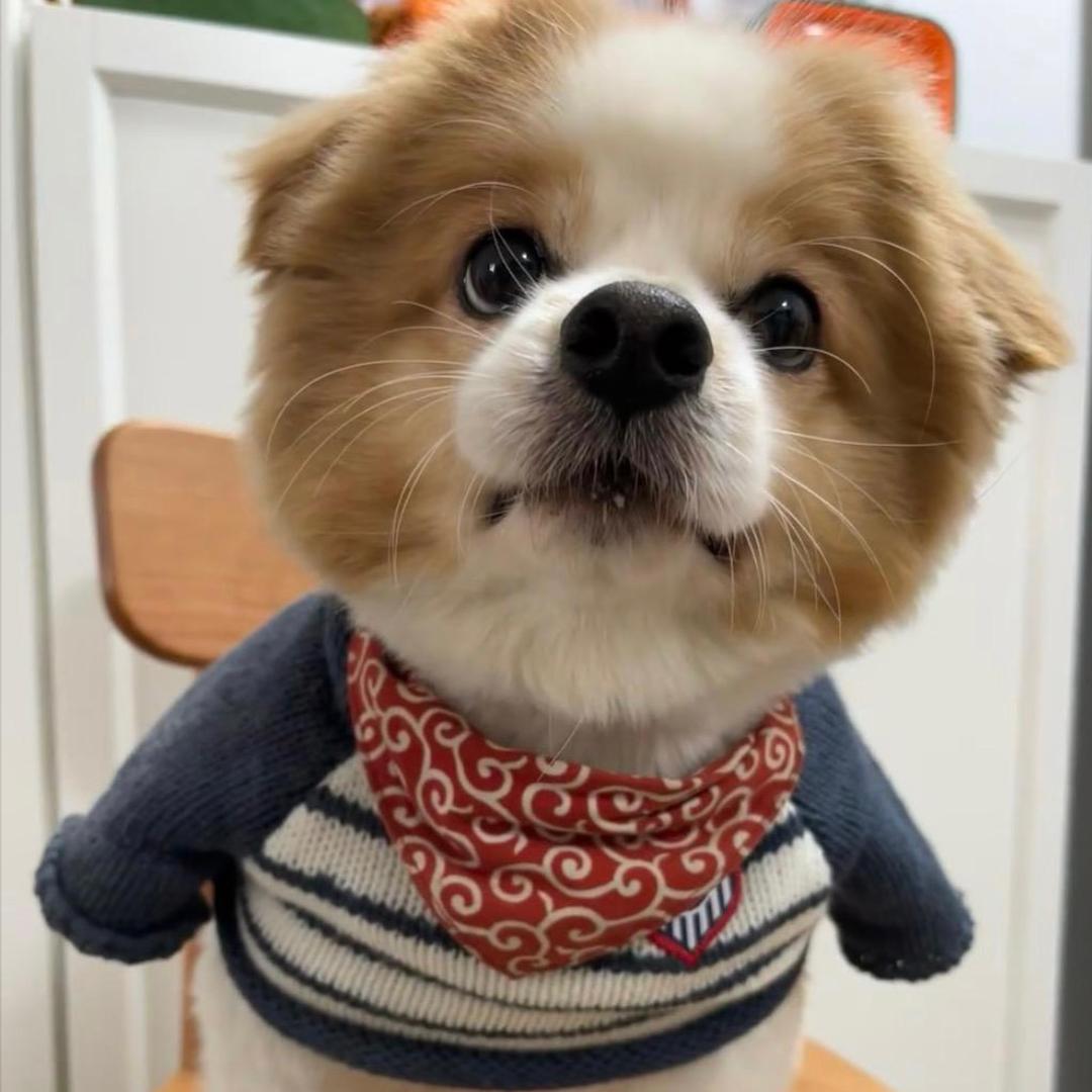 发财