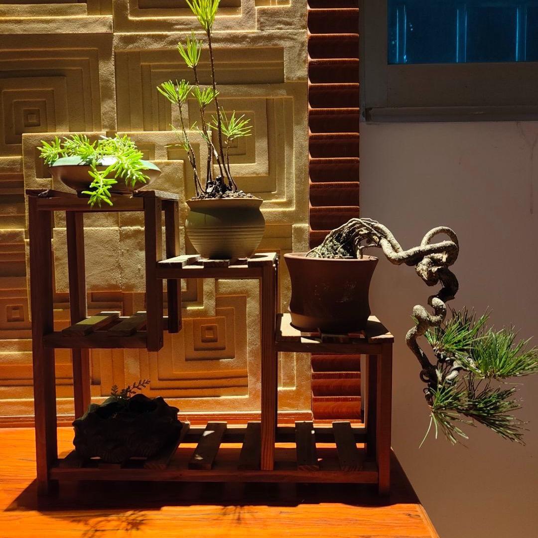 白景琦琦