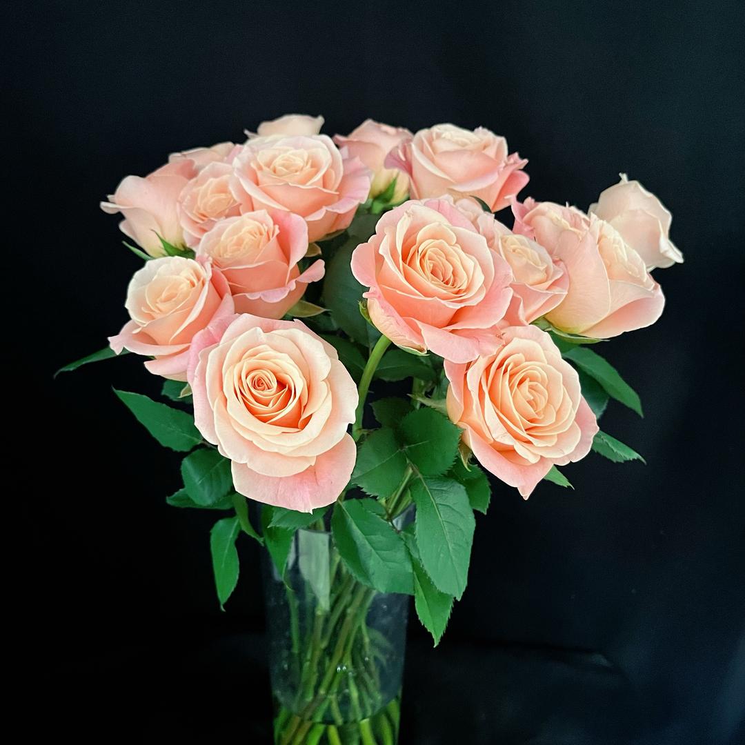 花知道花坊 小梁🌺