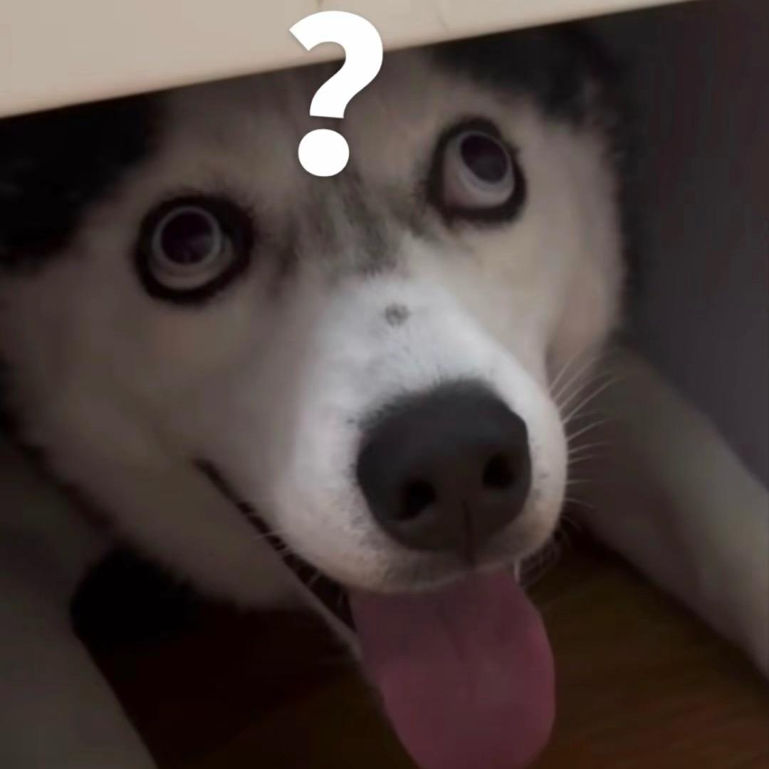 11点睡觉