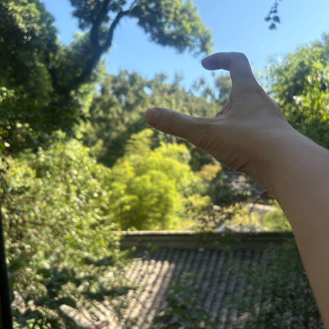 那年盛夏