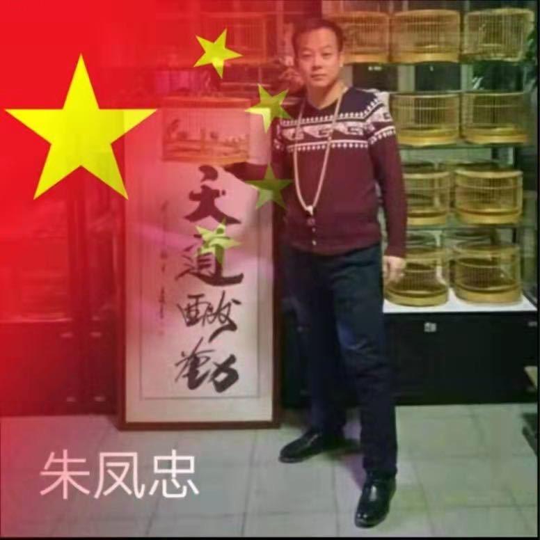 涿州鸟笼北笼之乡朱凤忠