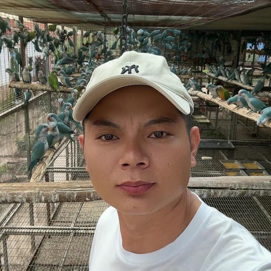 洋哥鹦鹉🦜