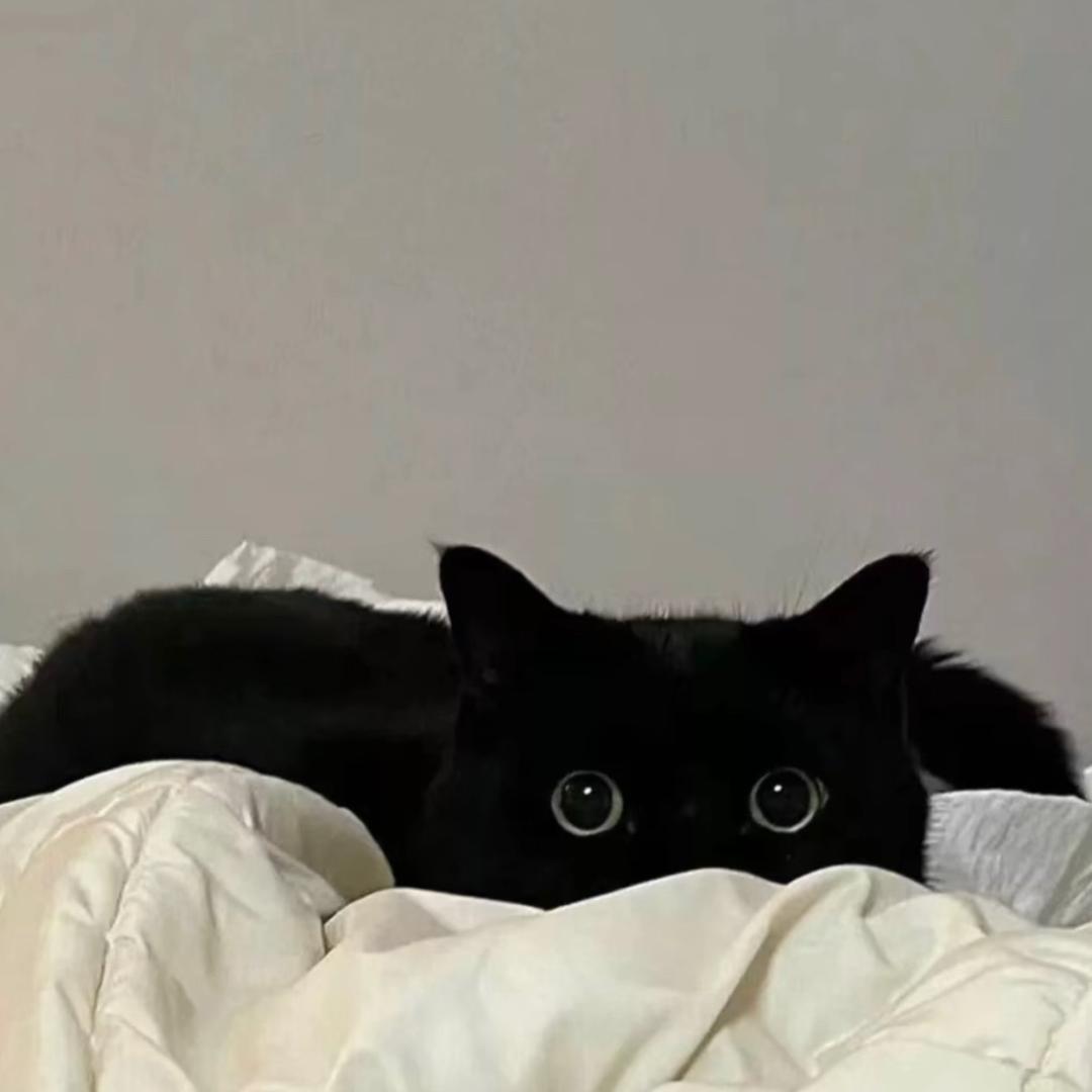 -瑞克