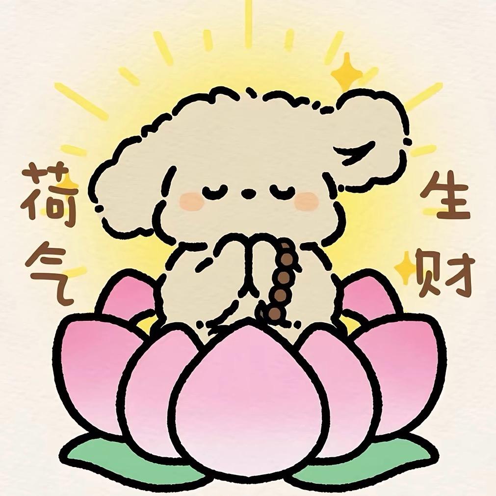 🪷🪷🪷