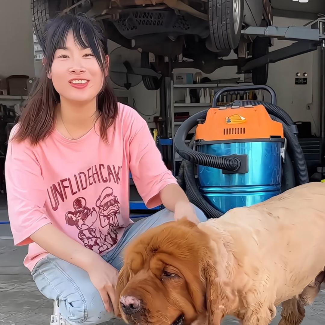 小兰（巨木巨木应急宝）