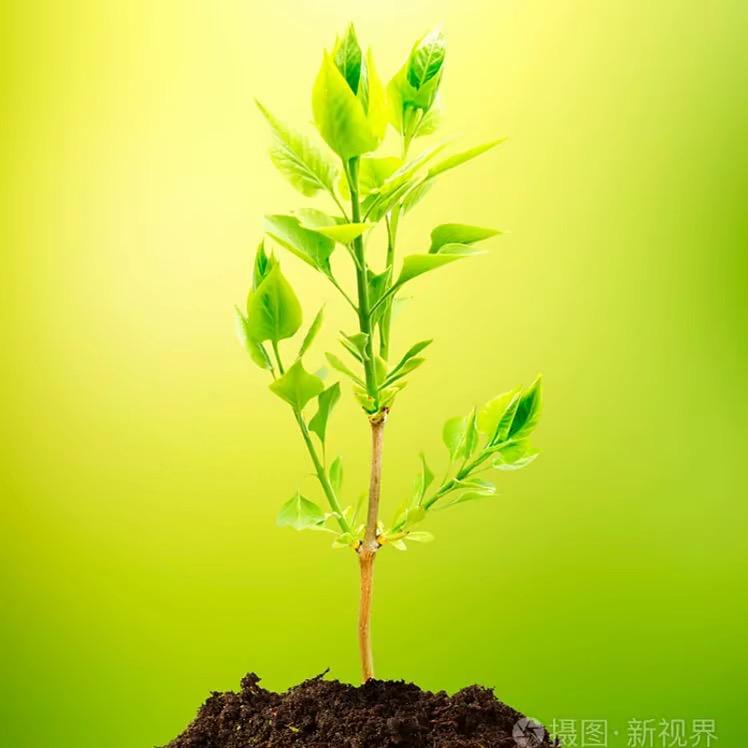 时匠好物分享