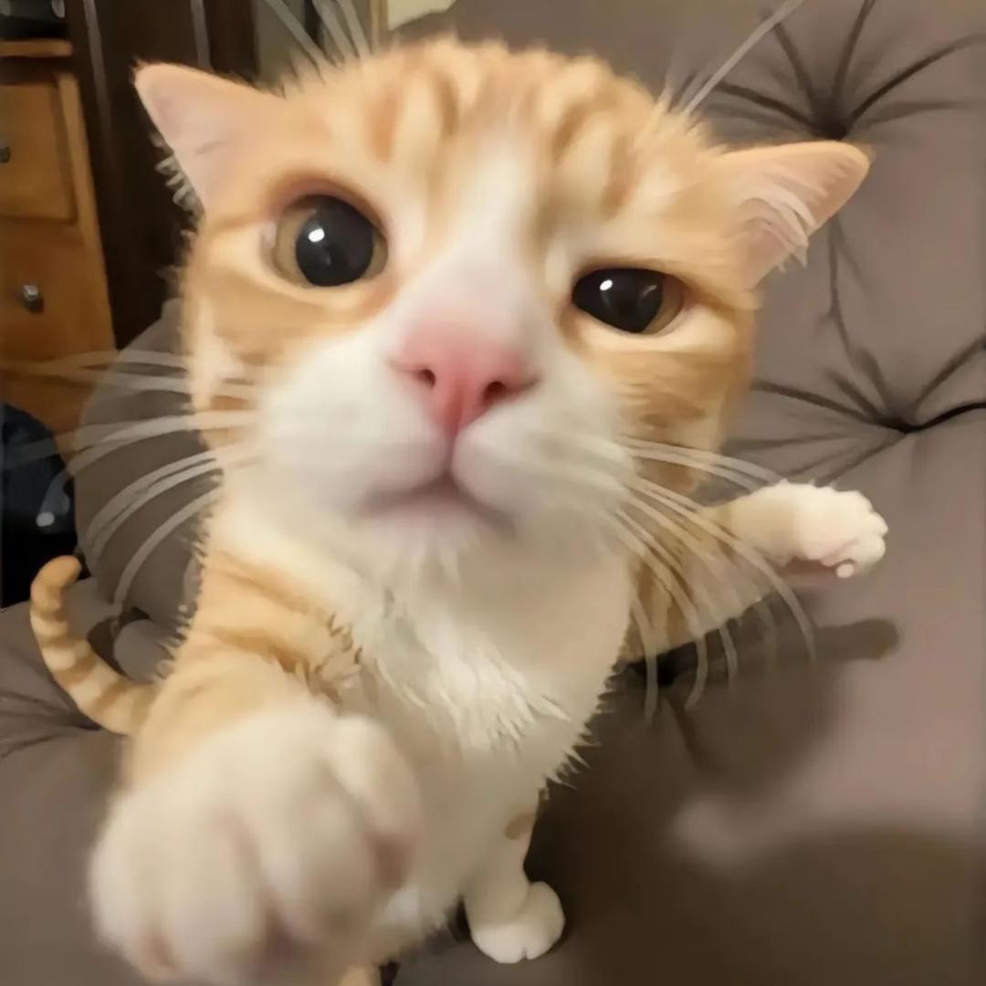 小姌.
