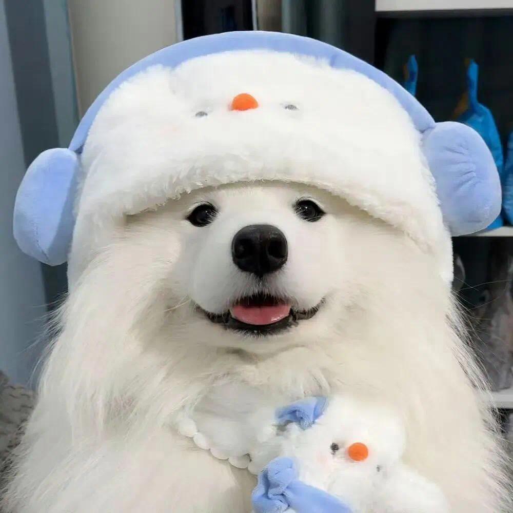 开心
