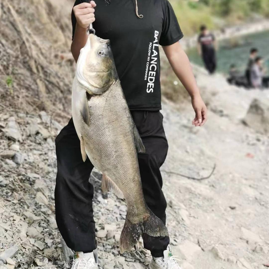 啊耗钓鱼