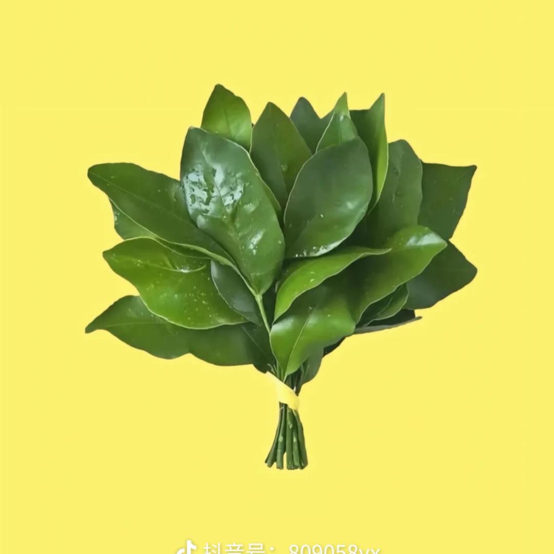 柠檬🍋（报名主页）