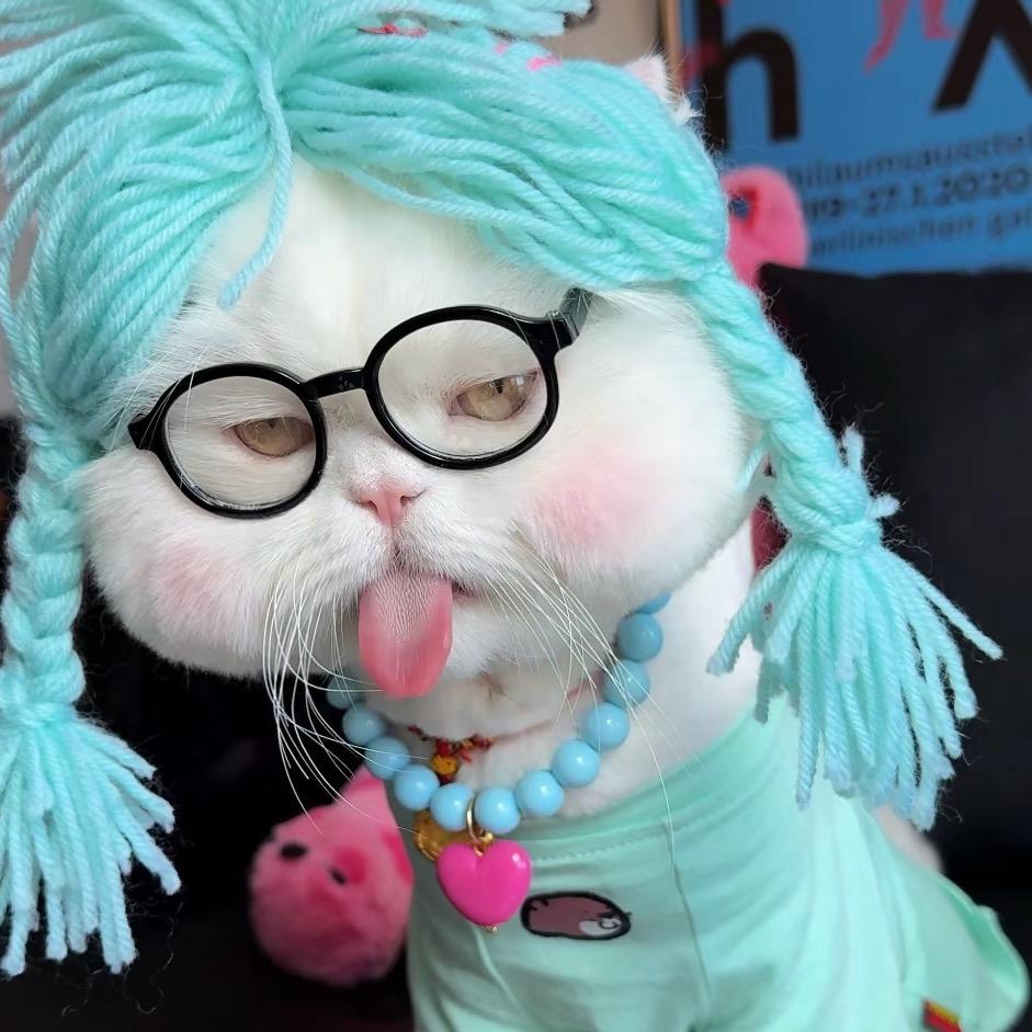 “🍪•ᴥ•🍪”