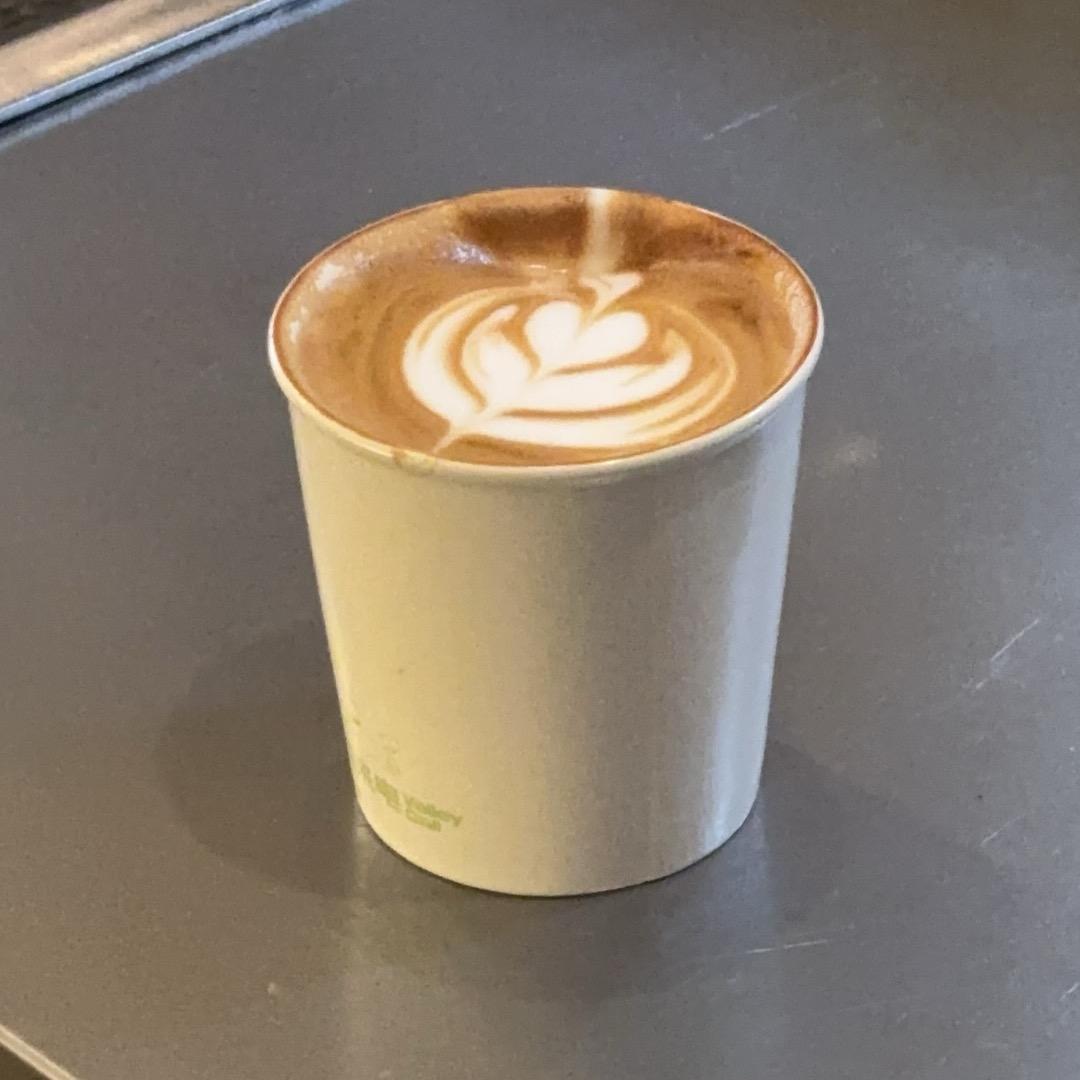 大晨zzz