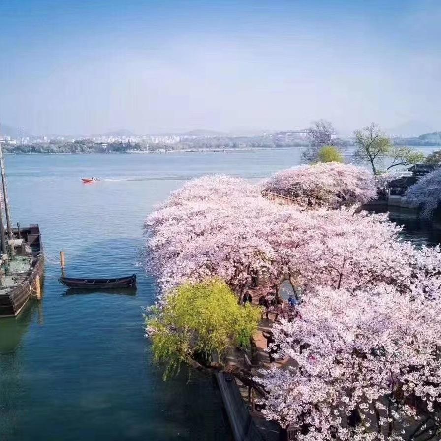 开心 随心 随缘