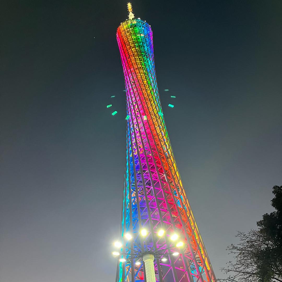 碧树无晴