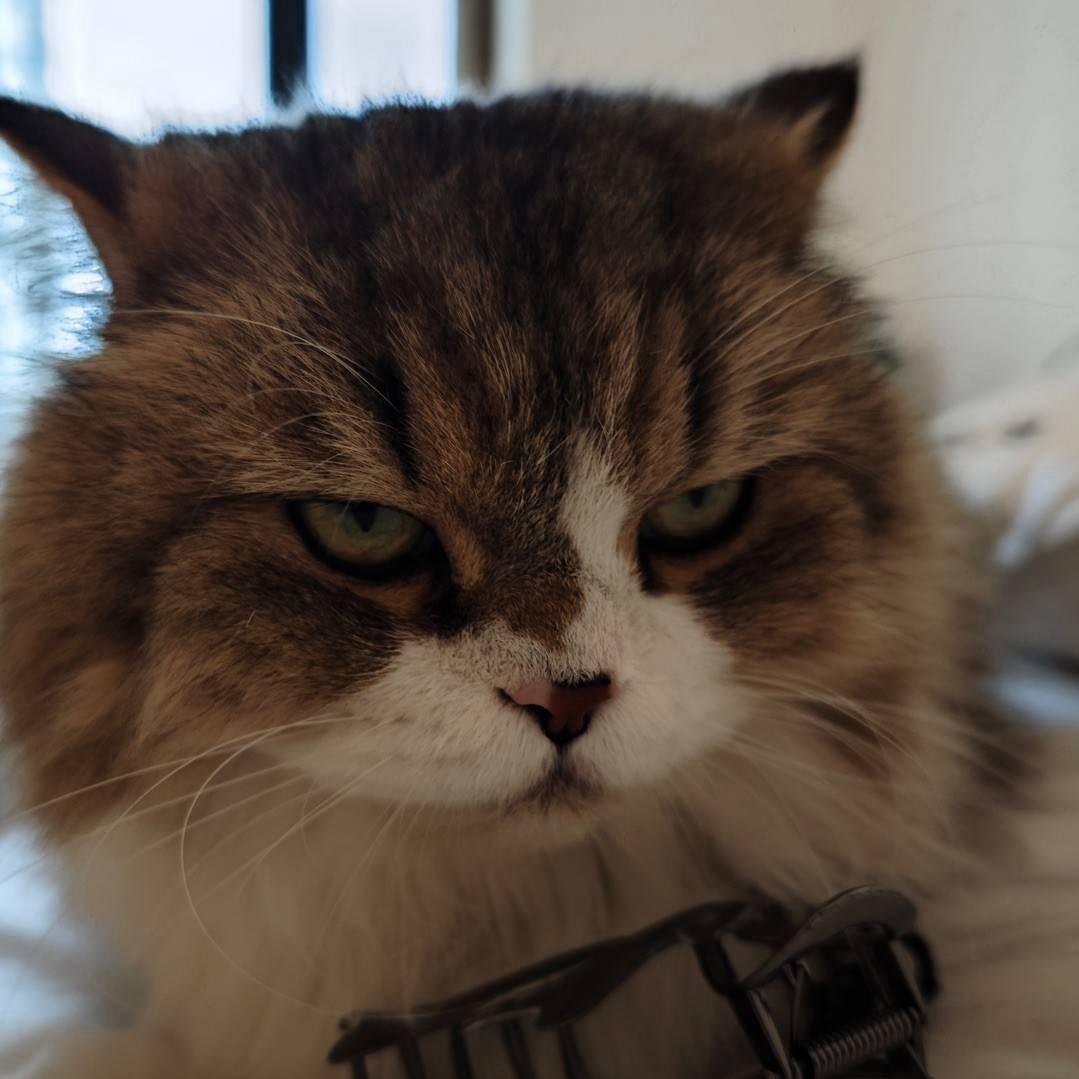 马鞍山无人机培训-蔡教练