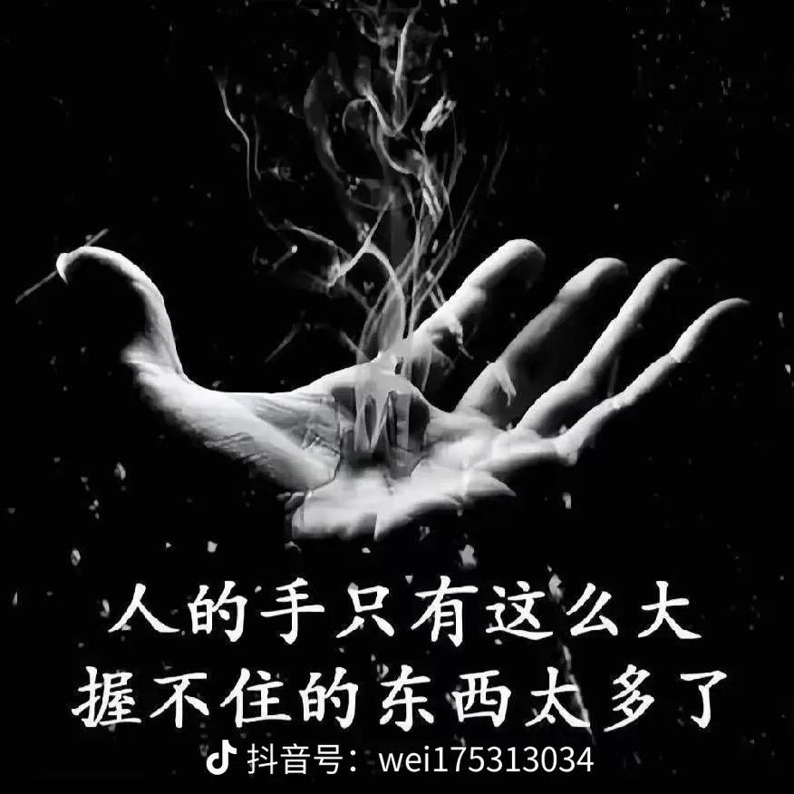 时间旅行者2