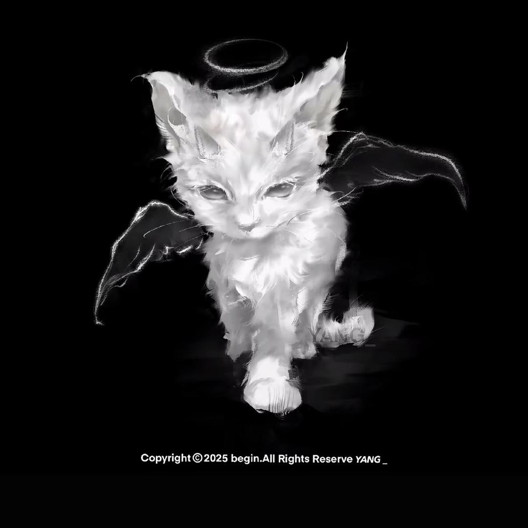 猫崽