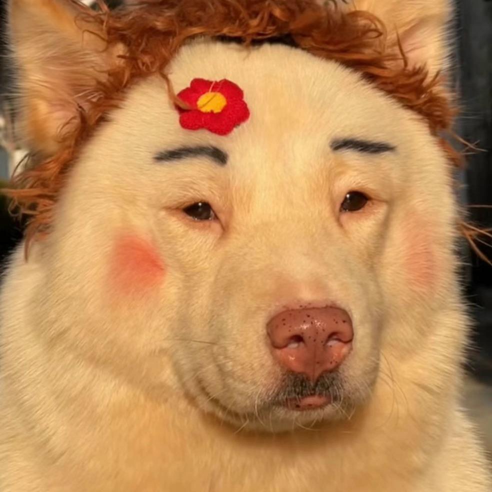 咙东呛