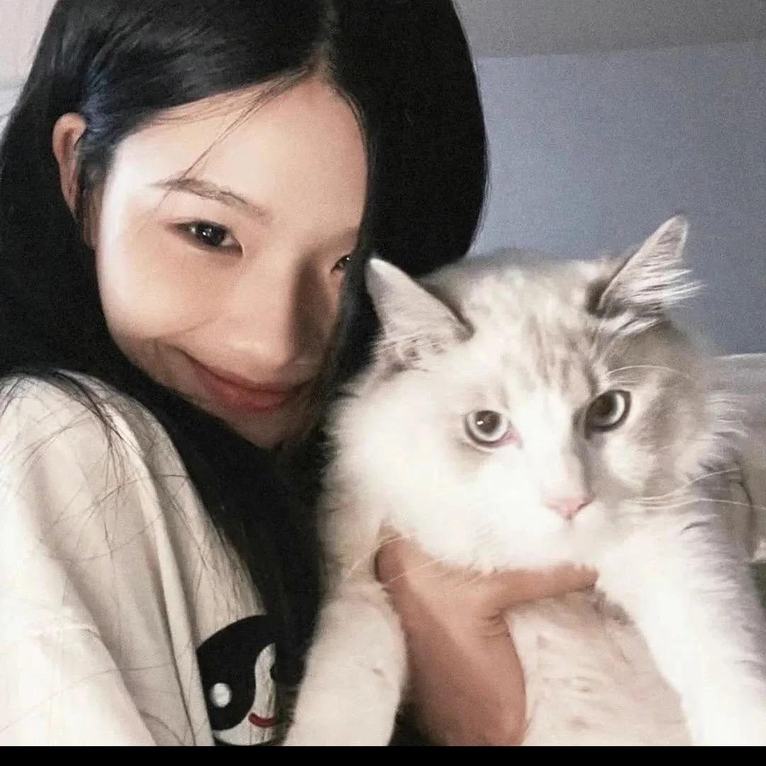 谁的小猫丢了