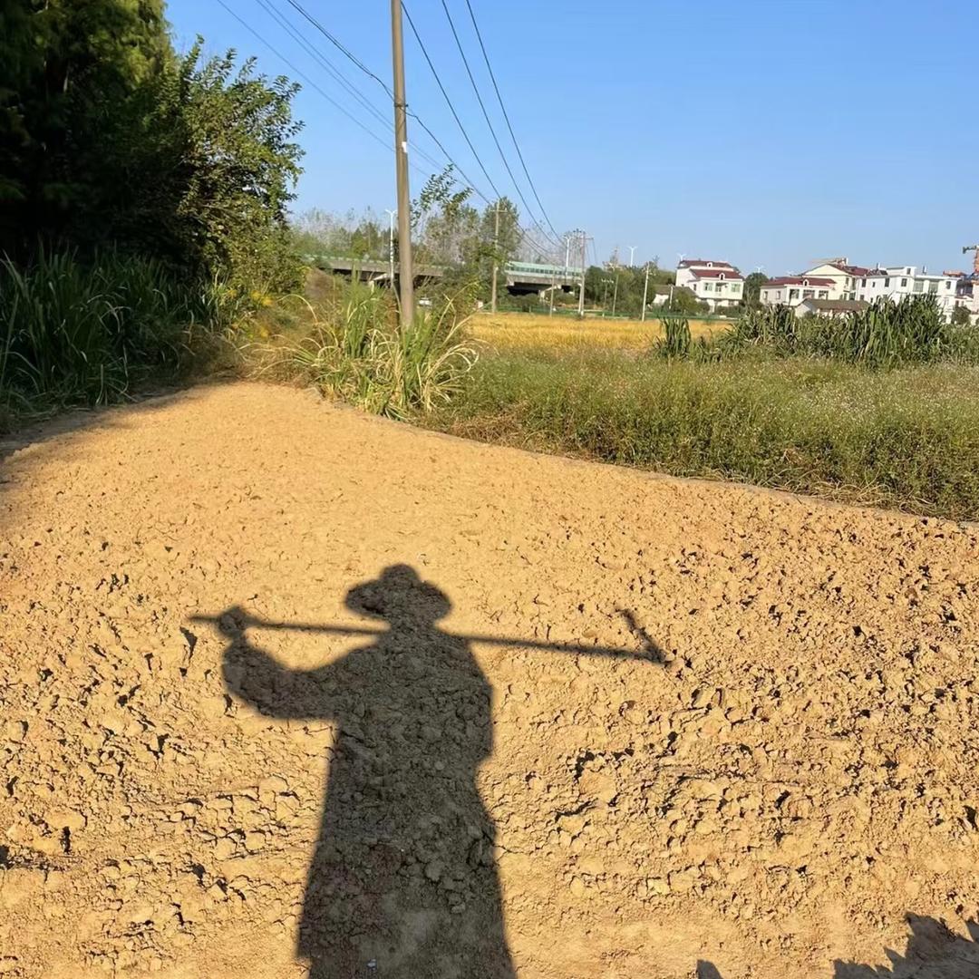 小陈说