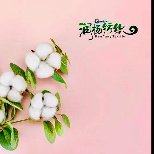 小杨哥（服装&面料源头厂家）