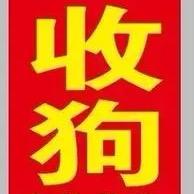 义乌名犬名猫买卖（高价收狗）