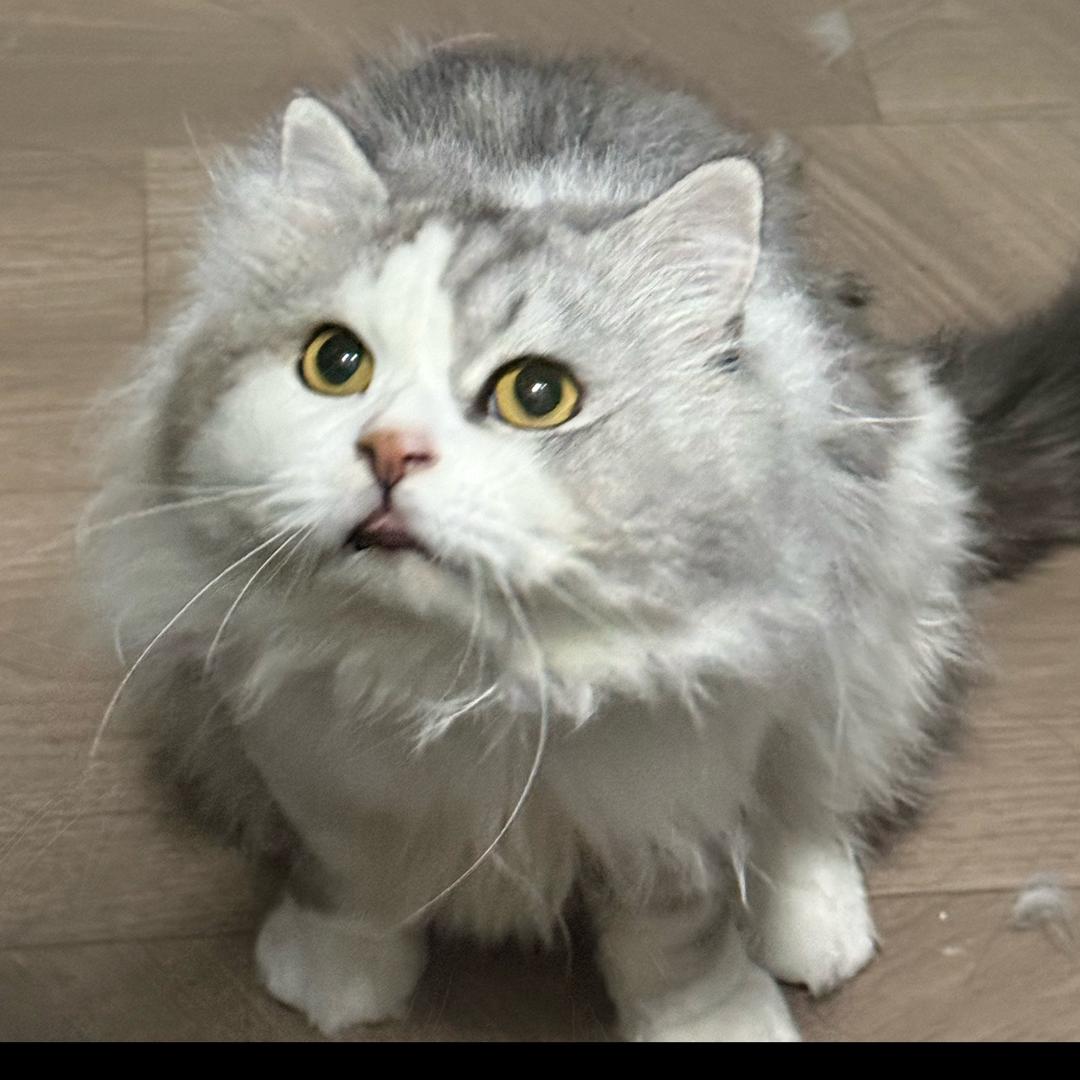 离过两次婚知道怎么疼女人