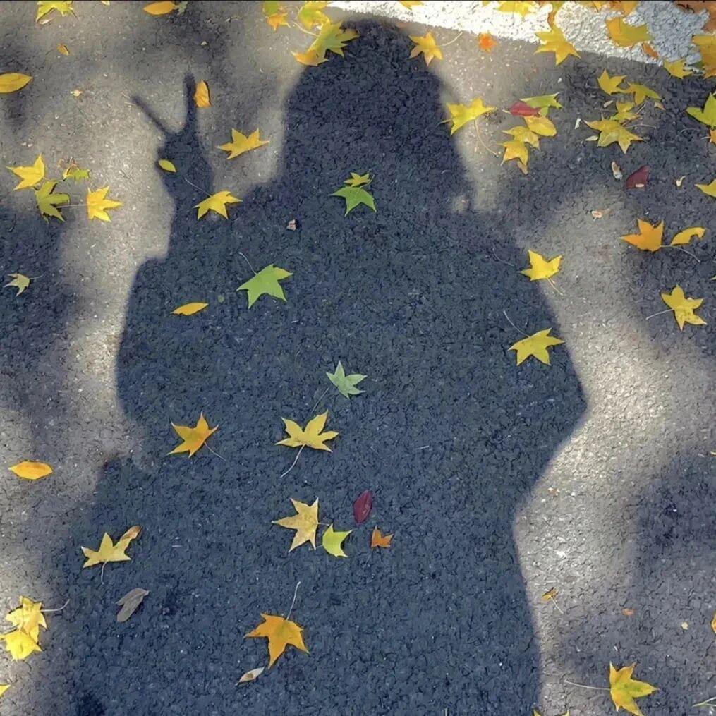 ˏˋ🍯ˎˊ˗ 甜满小岁月