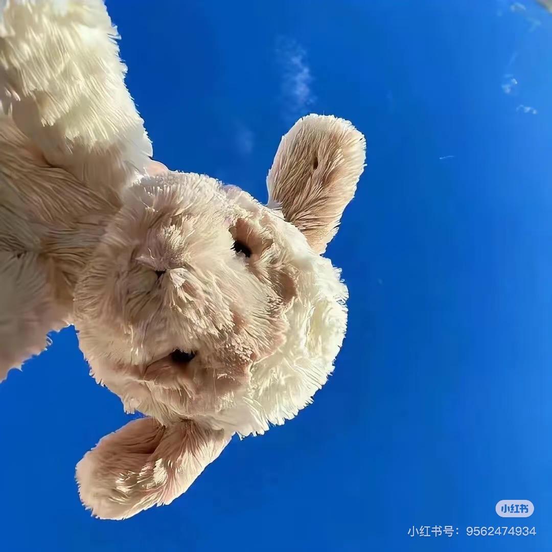 重生之我在眉山摆摊