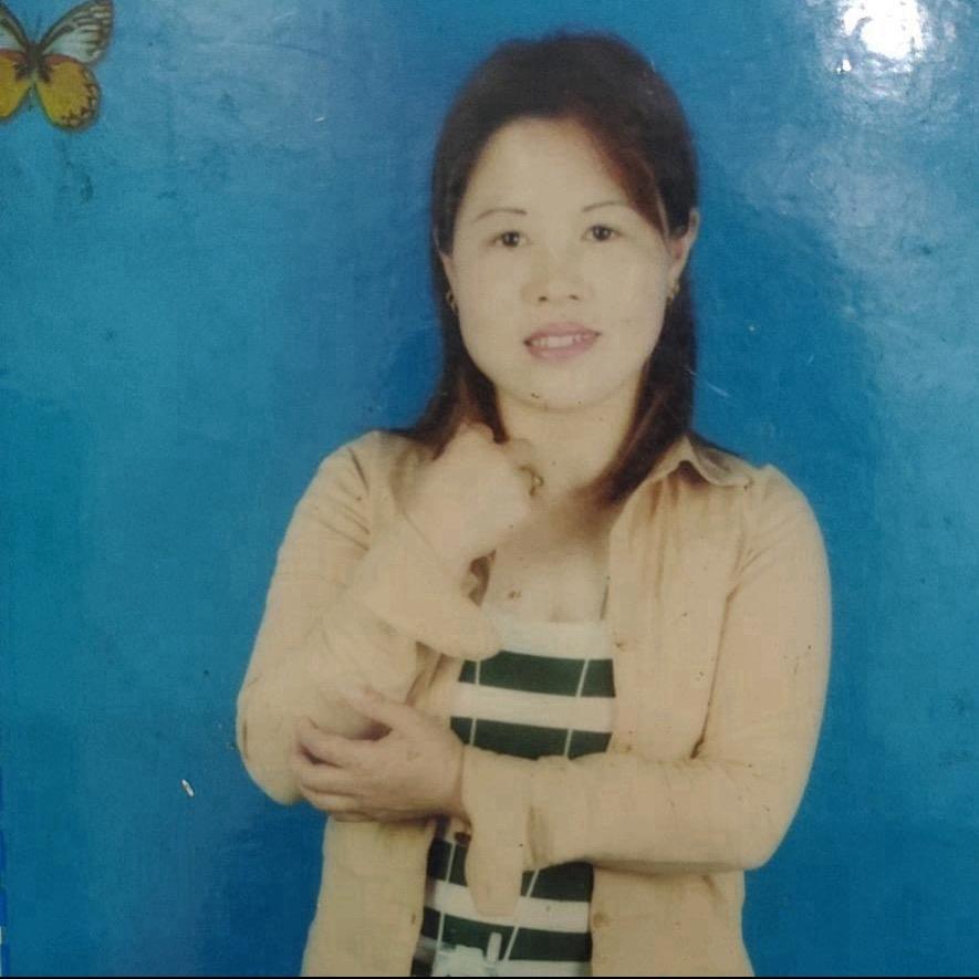 鸿姐姐
